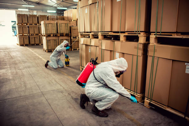 Best Best Pest Control Companies  in Morenci, AZ
