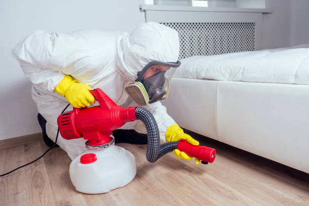 Best Pest Removal Services  in Morenci, AZ