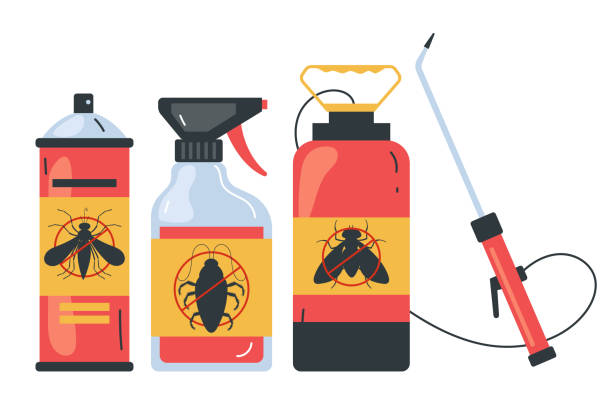 Best Flea Control Services  in Morenci, AZ